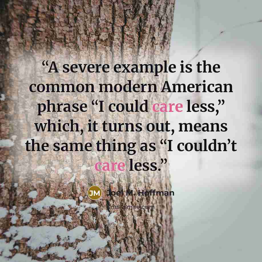 “A severe example is the common modern American phrase “I could care less,” which, it turns out, means the same thing as “I couldn’t care less.” quote by Joel M. Hoffman