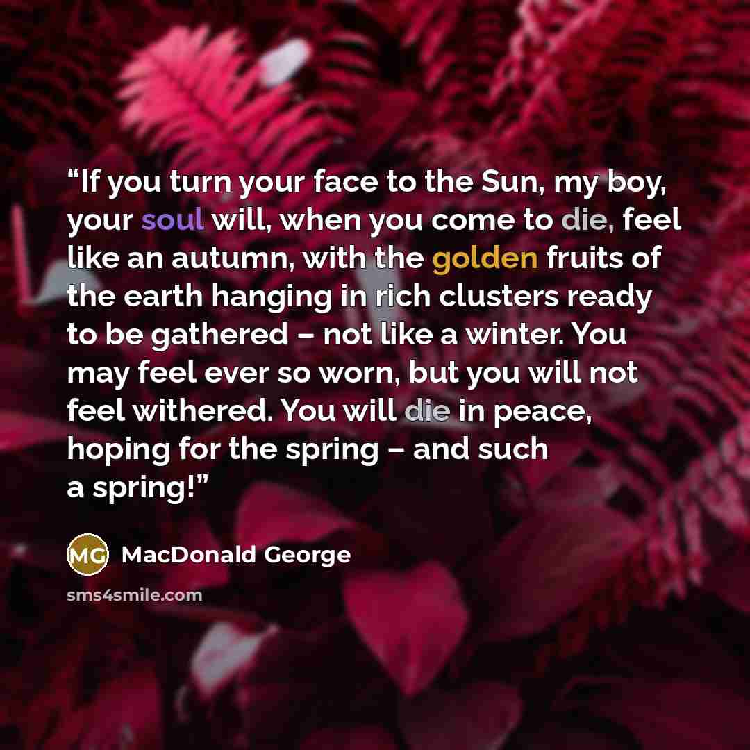“If you turn your face to the Sun, my boy, your soul will, when you come to die, feel like an autumn, with the golden fruits of the earth hanging in rich clusters ready to be gathered – not like a winter. You may feel ever so worn, but you will not feel withered. You will die in peace, hoping for…” quote by MacDonald George