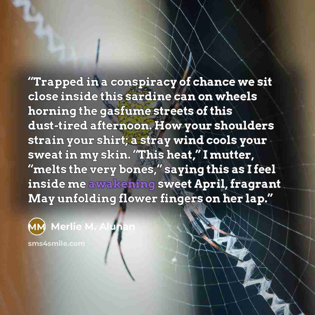 “Trapped in a conspiracy of chance we sit close inside this sardine can on wheels horning the gasfume streets of this dust-tired afternoon. How your shoulders strain your shirt; a stray wind cools your sweat in my skin. “This heat,” I mutter, “melts the very bones,” saying this as I feel inside me…” quote by Merlie M. Alunan