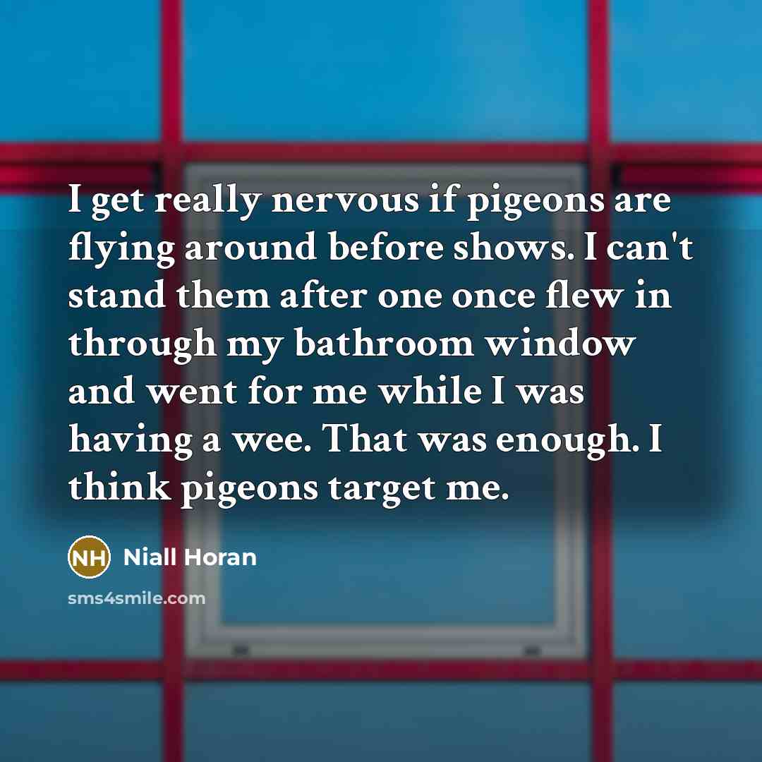 “I get really nervous if pigeons are flying around before…” quote by Niall Horan