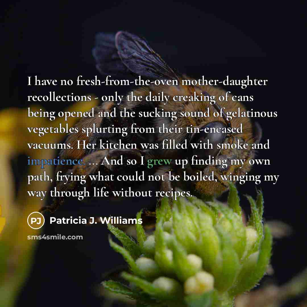 “I have no fresh-from-the-oven mother-daughter recollections - only the daily…” quote by Patricia J. Williams