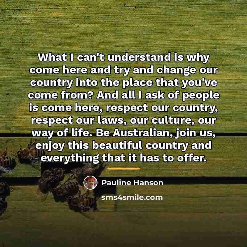 “What I can't understand is why come here and try…” quote by Pauline Hanson