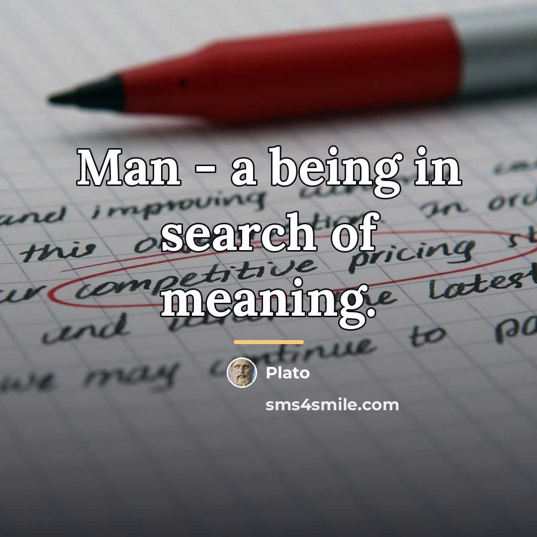 “Man - a being in search of meaning.…” quote by Plato