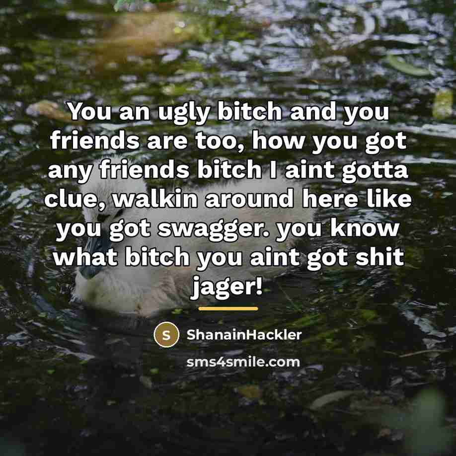 “You an ugly bitch and you friends are too, how…” quote by ShanainHackler