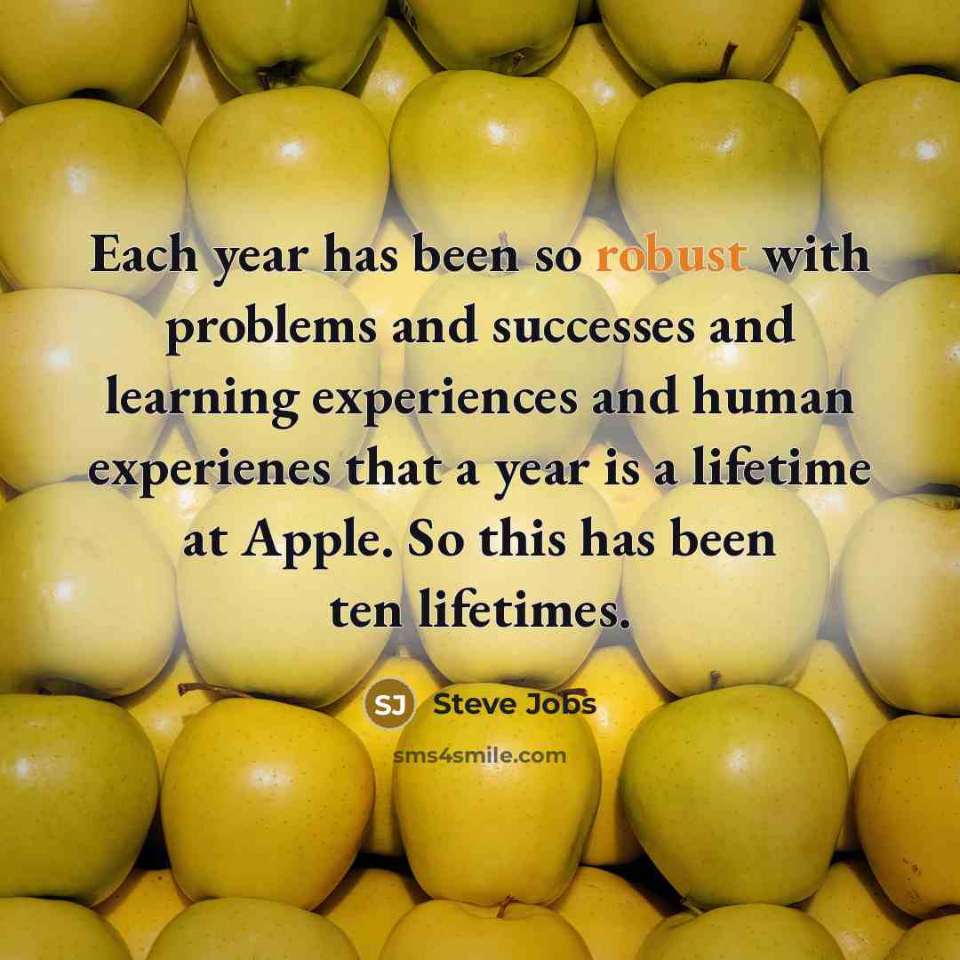 “Each year has been so robust with problems and successes…” quote by Steve Jobs