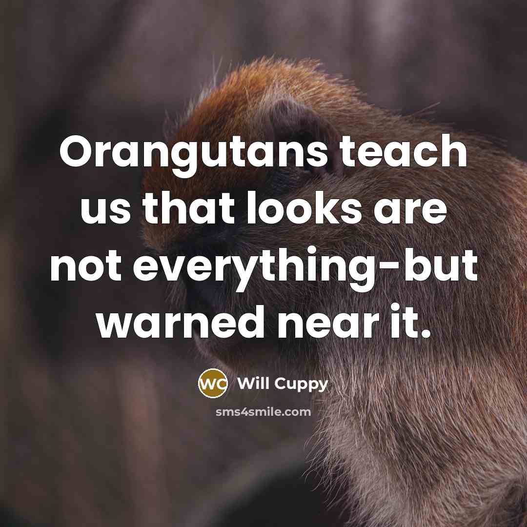 “Orangutans teach us that looks are not everything-but warned near…” quote by Will Cuppy