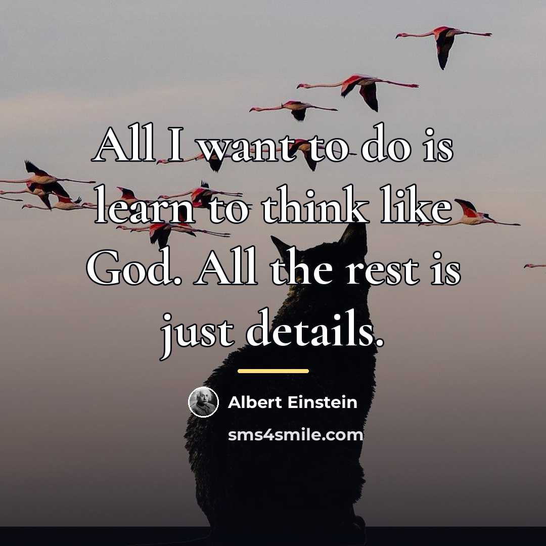 “All I want to do is learn to think like…” quote by Albert Einstein