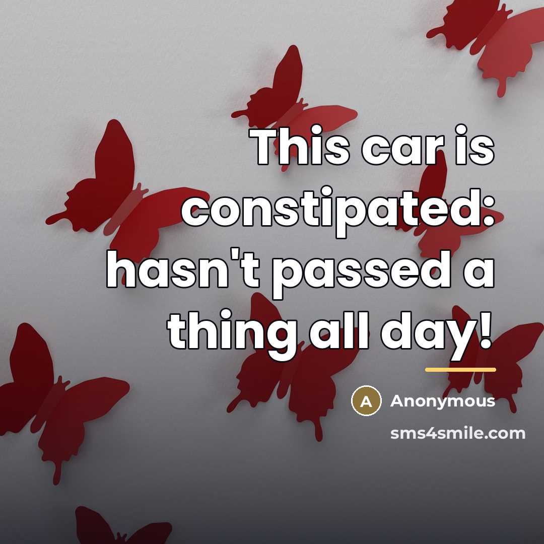 “This car is constipated: hasn't passed a thing all day!…” quote by Anonymous