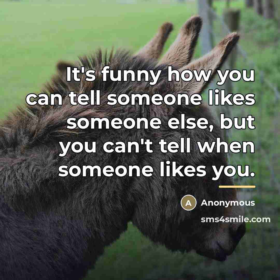 “It's funny how you can tell someone likes someone else,…” quote by Anonymous