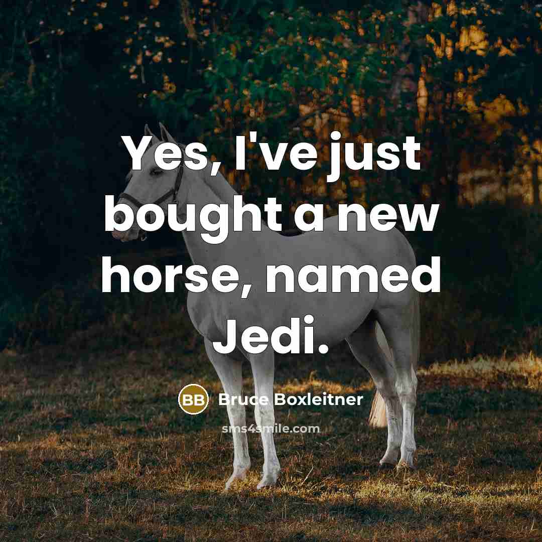 “Yes, I've just bought a new horse, named Jedi.…” quote by Bruce Boxleitner