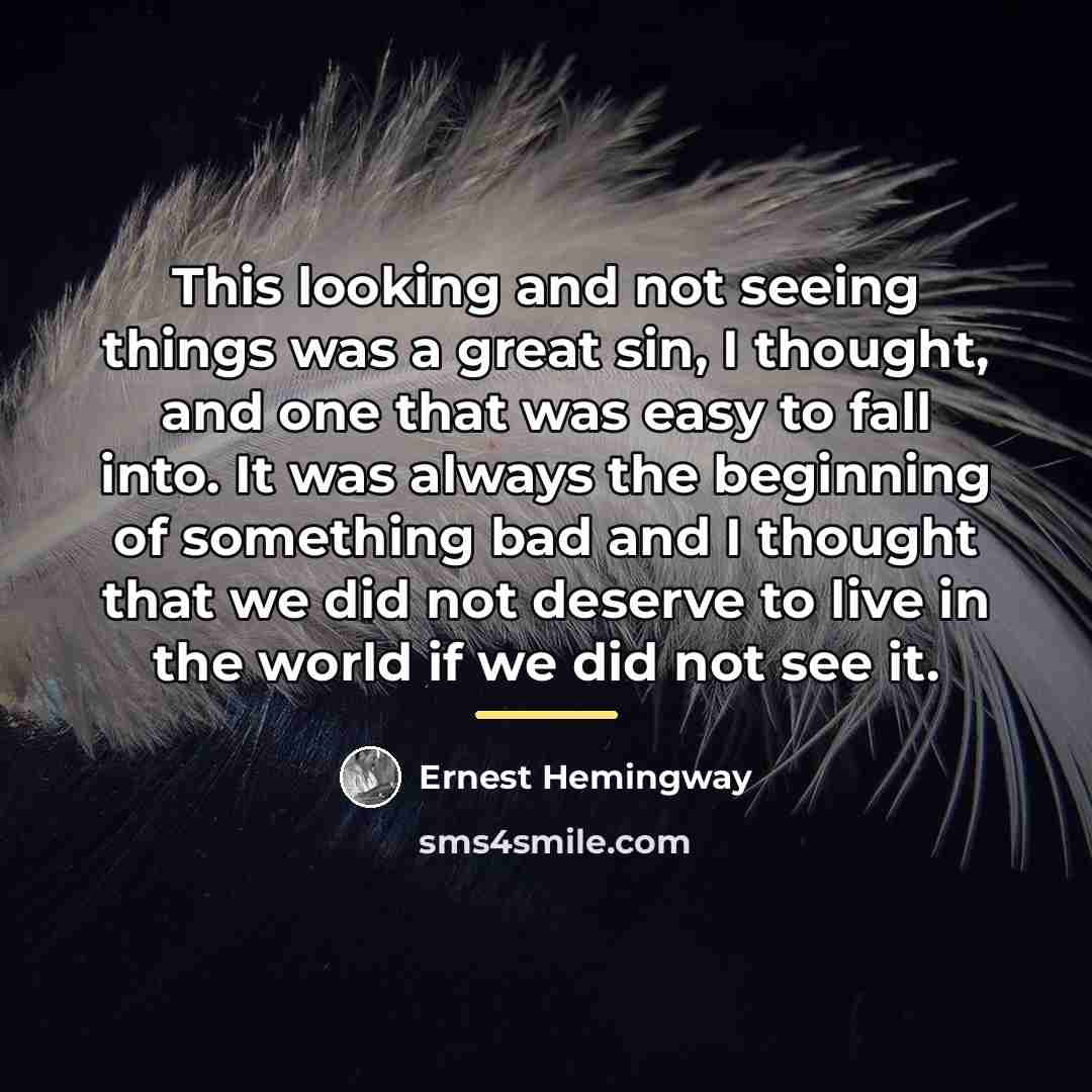 “This looking and not seeing things was a great sin,…” quote by Ernest Hemingway