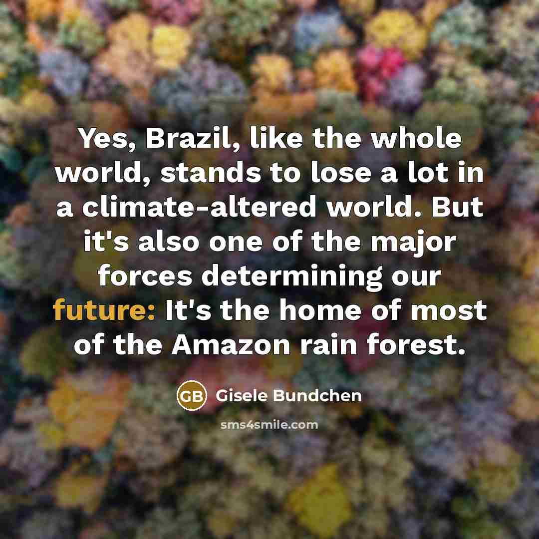 “Yes, Brazil, like the whole world, stands to lose a…” quote by Gisele Bundchen