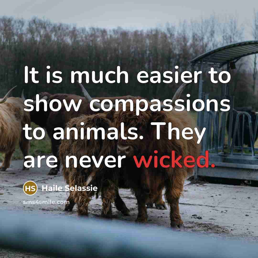“It is much easier to show compassions to animals. They…” quote by Haile Selassie