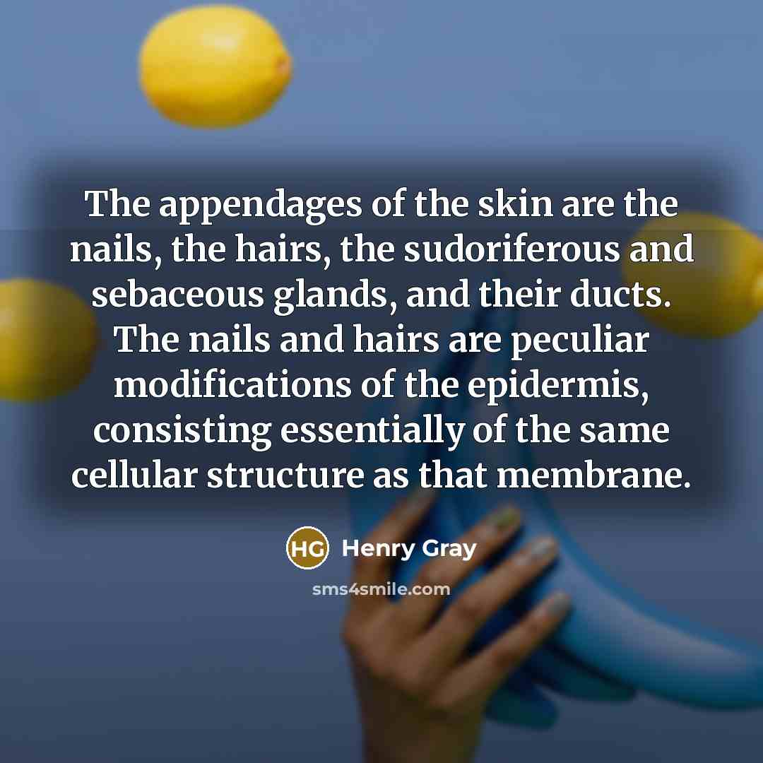 “The appendages of the skin are the nails, the hairs,…” quote by Henry Gray