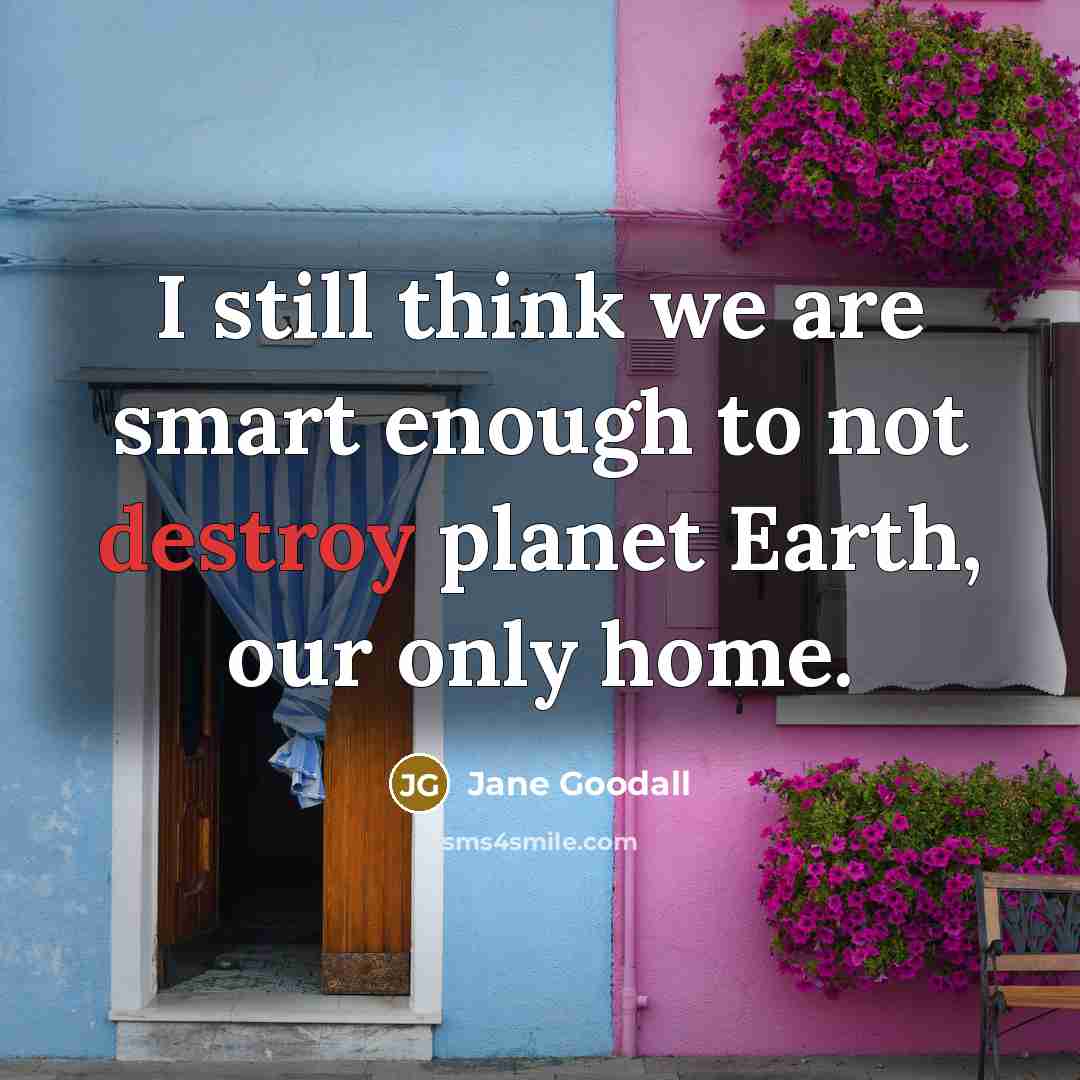 “I still think we are smart enough to not destroy…” quote by Jane Goodall