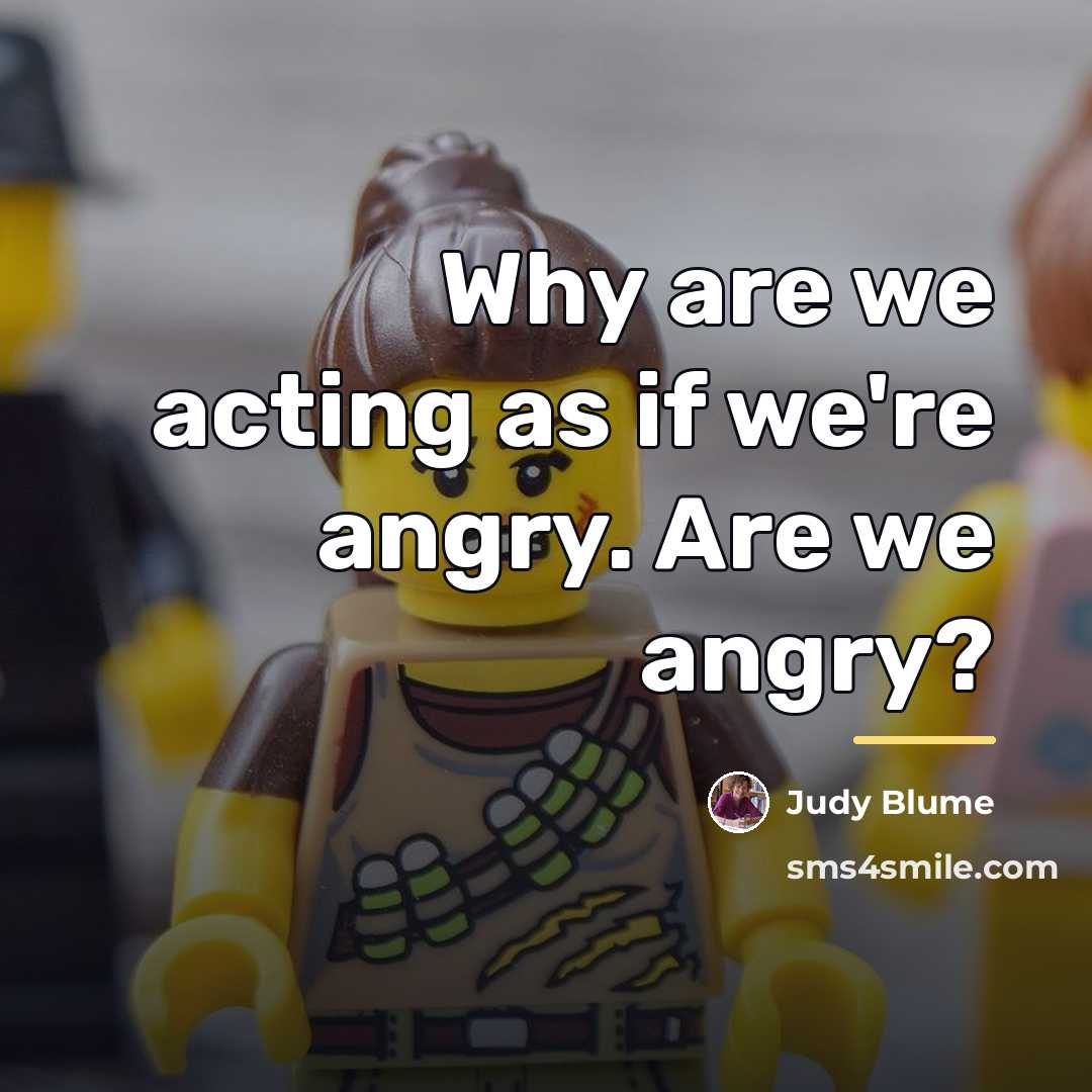 “Why are we acting as if we're angry. Are we…” quote by Judy Blume