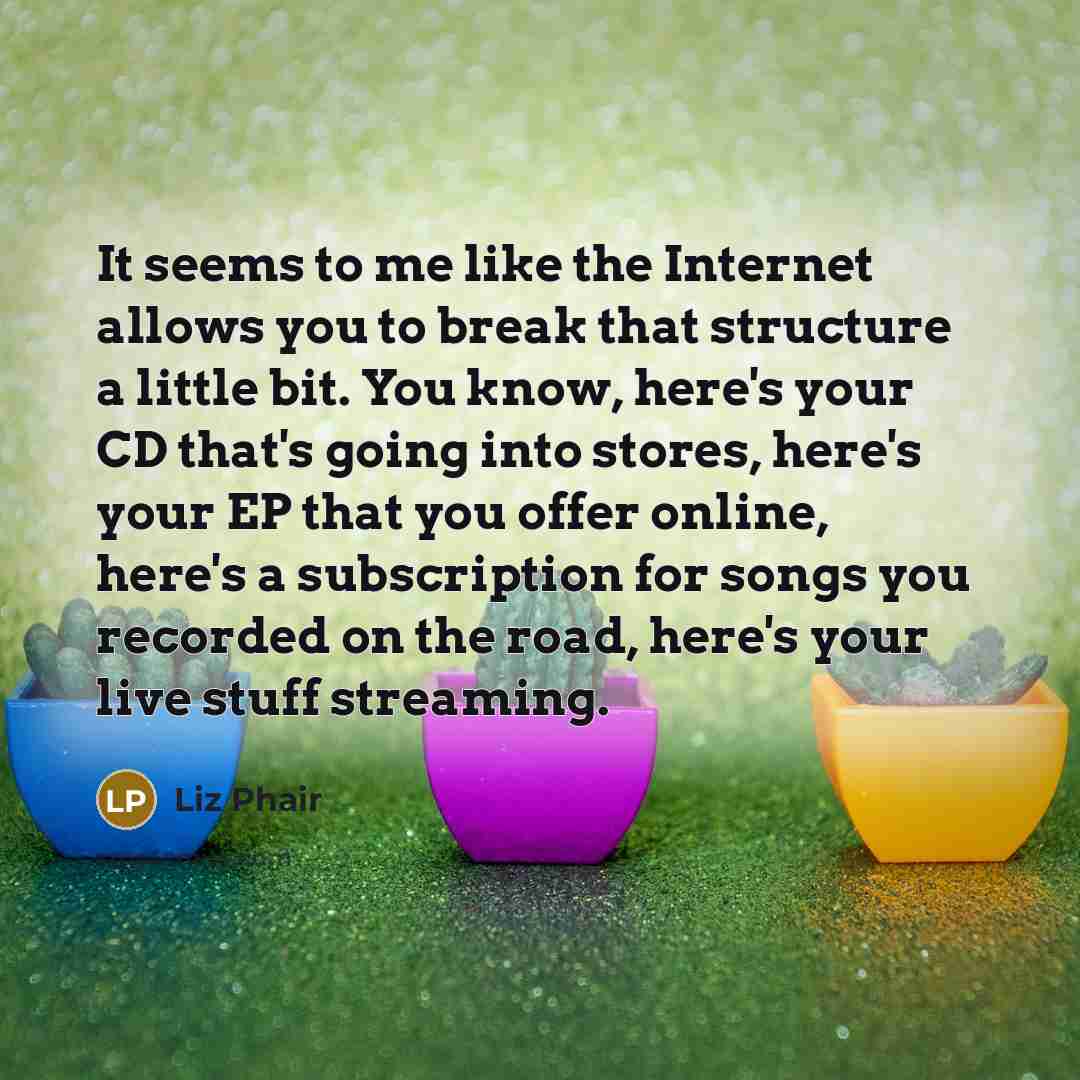 “It seems to me like the Internet allows you to…” quote by Liz Phair