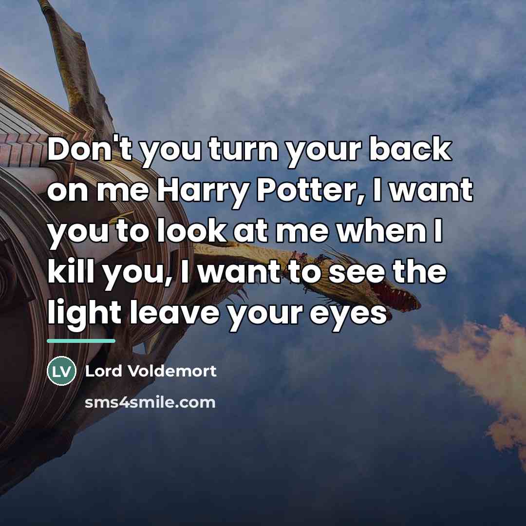 “Don't you turn your back on me Harry Potter, I…” quote by Lord Voldemort