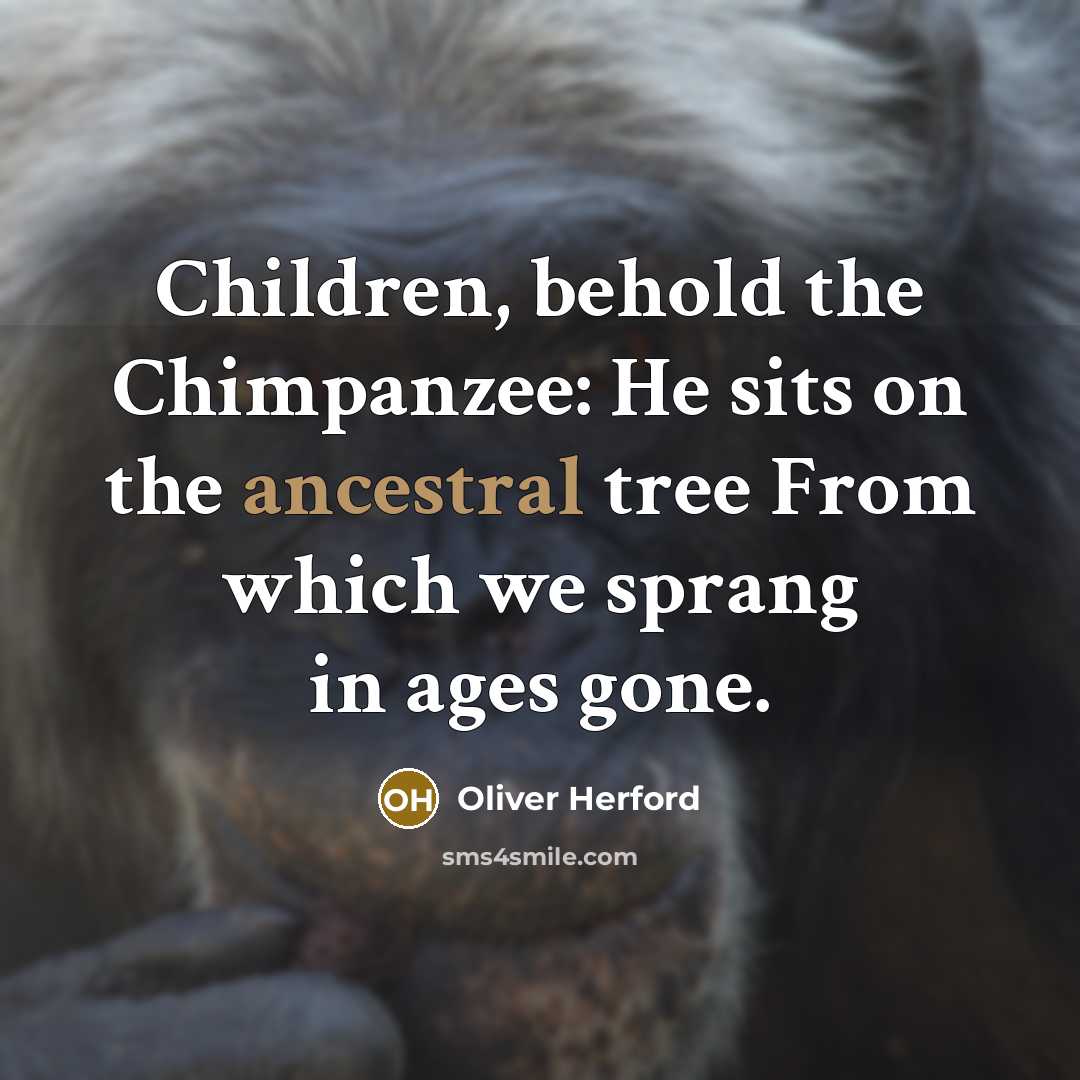“Children, behold the Chimpanzee: He sits on the ancestral tree…” quote by Oliver Herford