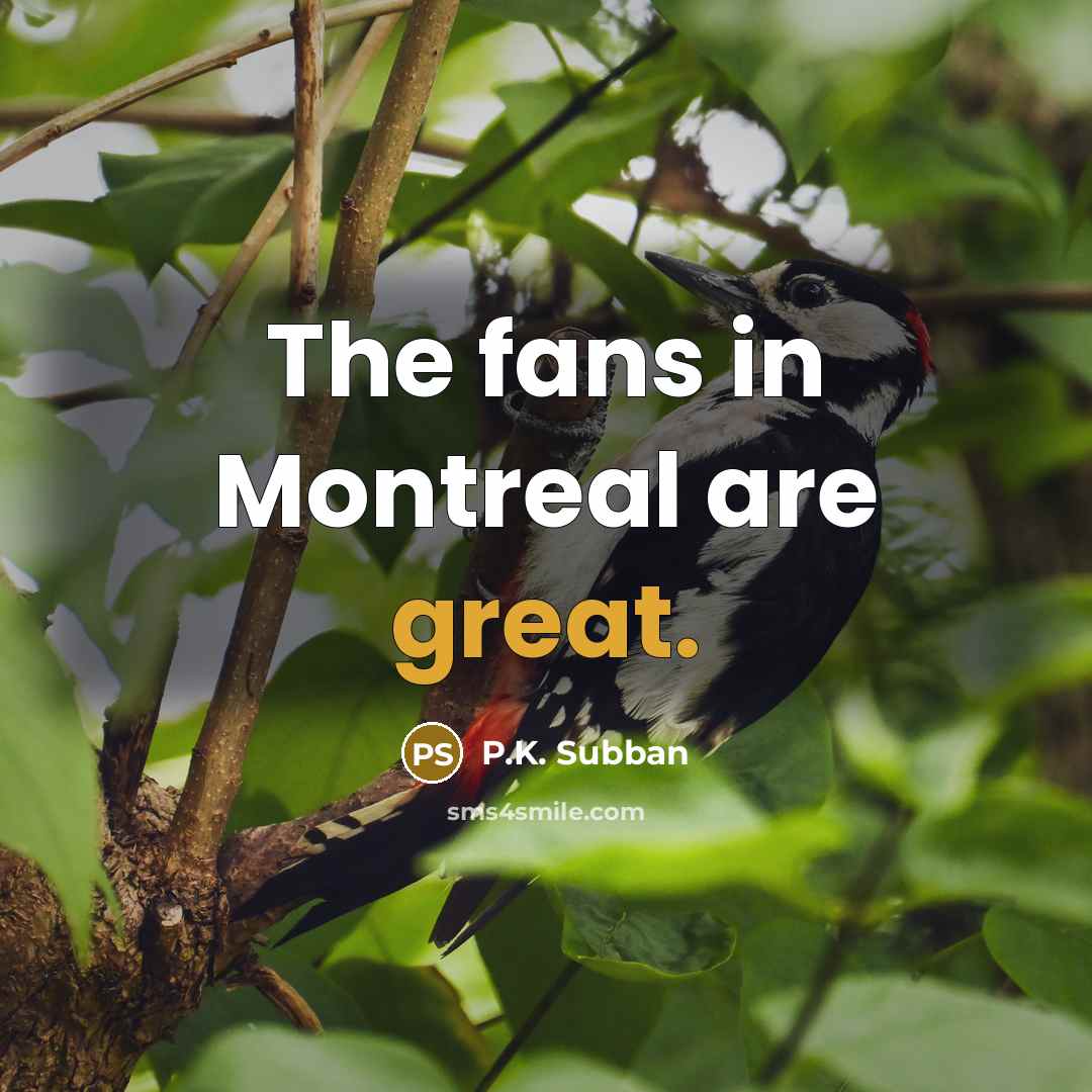 “The fans in Montreal are great.…” quote by P.K. Subban