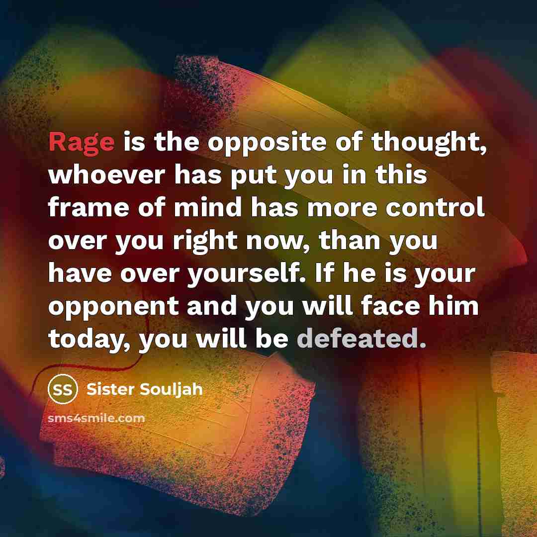 “Rage is the opposite of thought, whoever has put you…” quote by Sister Souljah