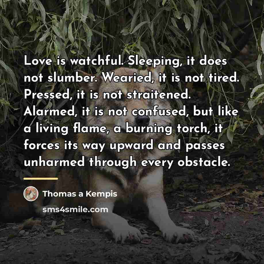 “Love is watchful. Sleeping, it does not slumber. Wearied, it…” quote by Thomas a Kempis