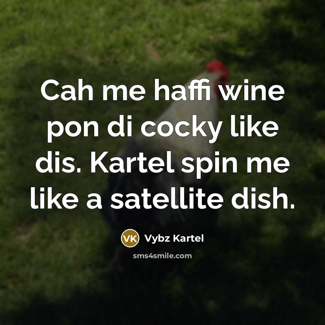 “Cah me haffi wine pon di cocky like dis. Kartel spin me like a satellite dish.” quote by Vybz Kartel