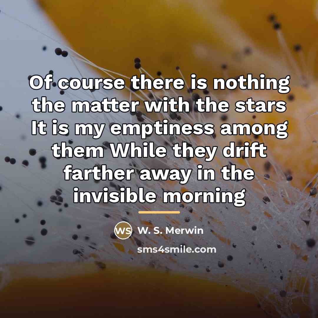 “Of course there is nothing the matter with the stars…” quote by W. S. Merwin
