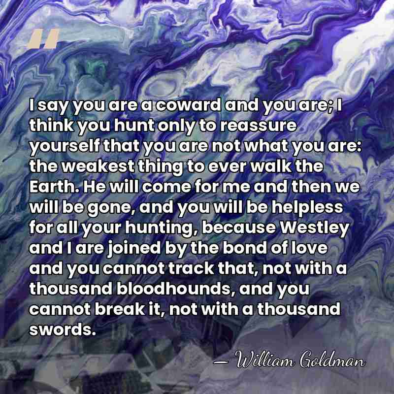 I say you are a coward and you are; I think you&hellip; - William Goldman
