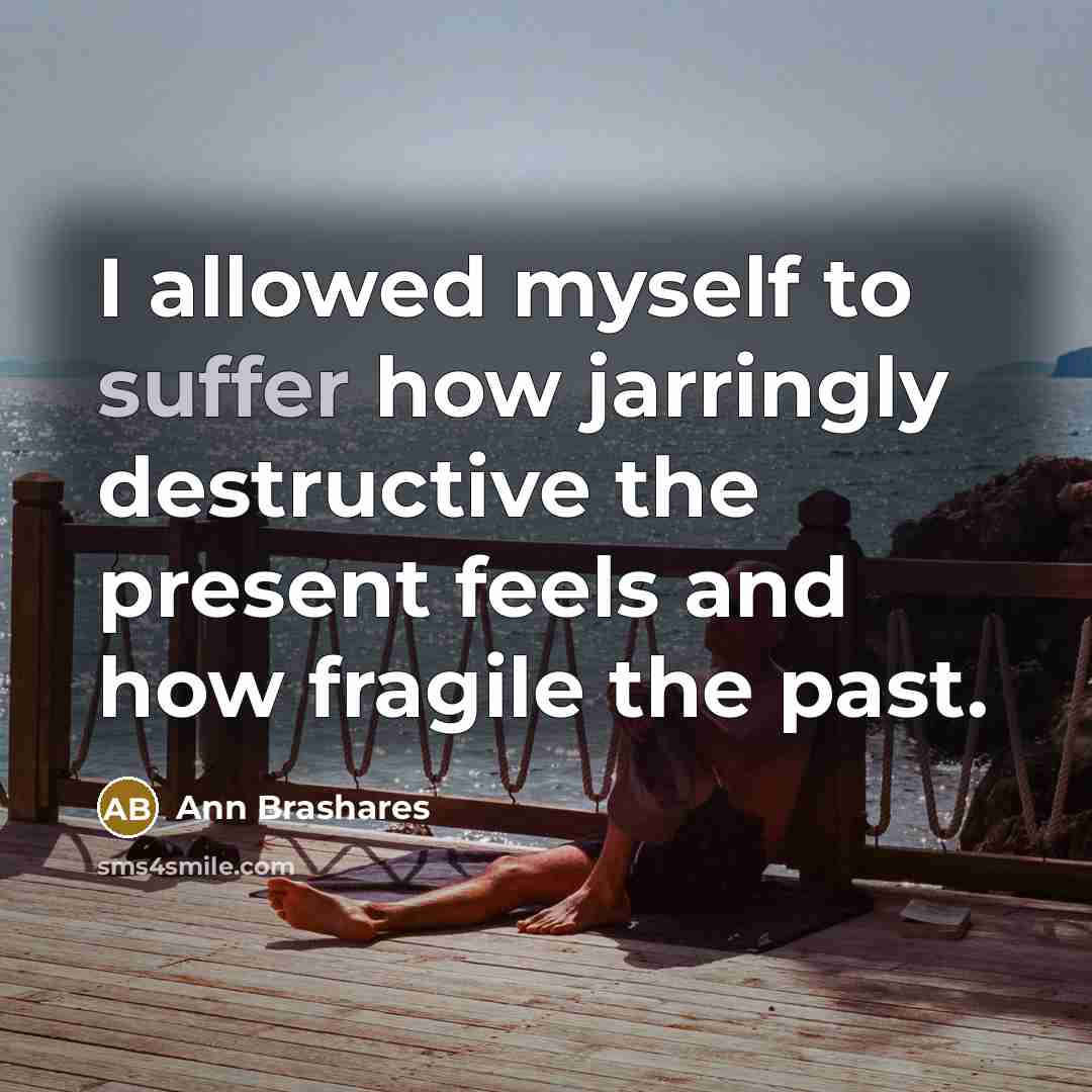 “I allowed myself to suffer how jarringly destructive the present…” quote by Ann Brashares