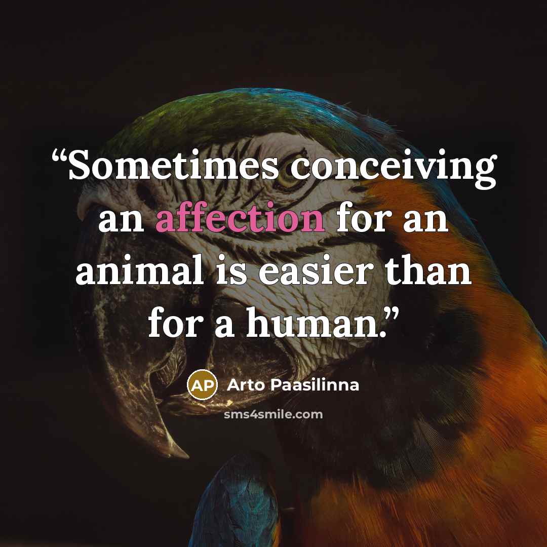 “Sometimes conceiving an affection for an animal is easier than for a human.” quote by Arto Paasilinna