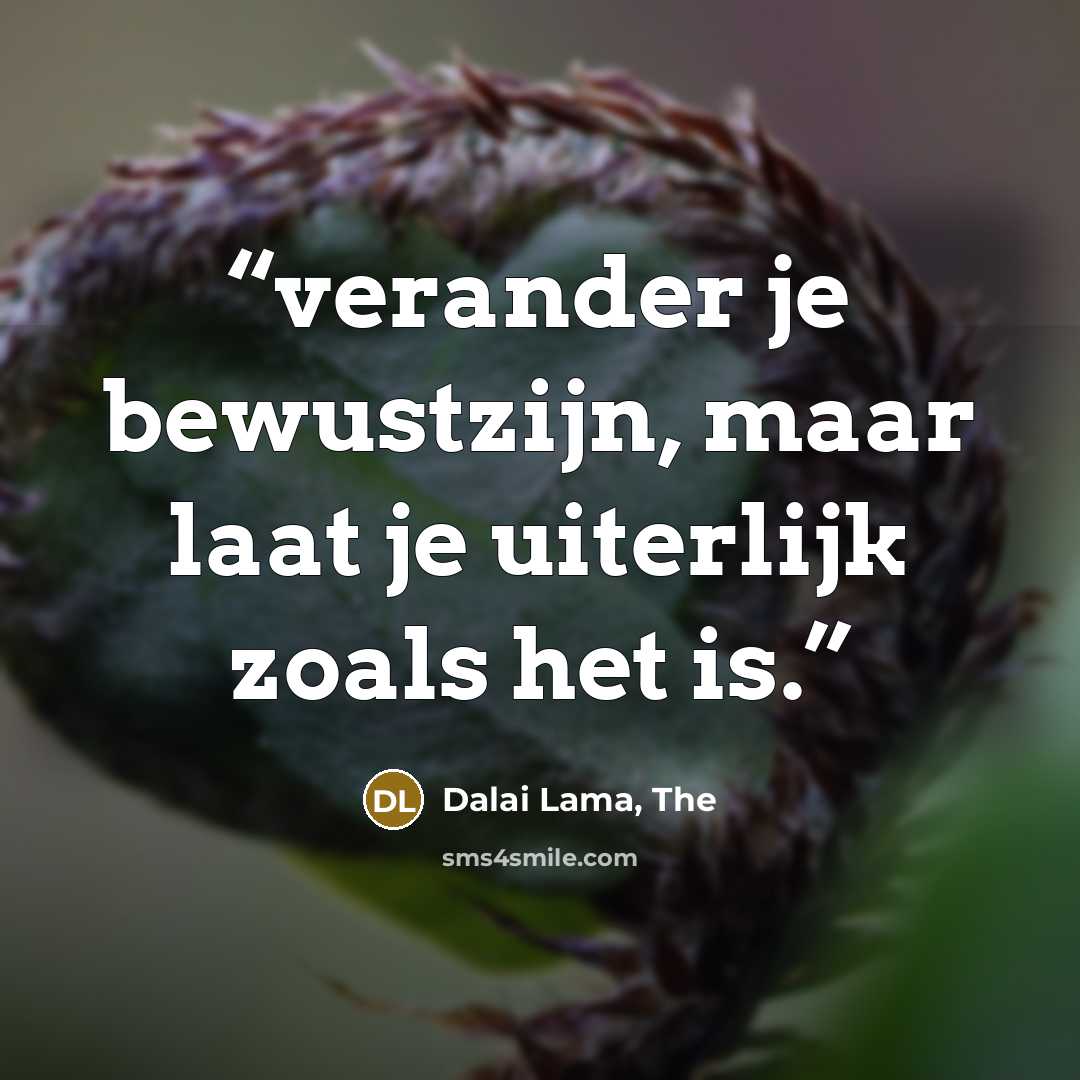“verander je bewustzijn, maar laat je uiterlijk zoals het is.” quote by Dalai Lama, The