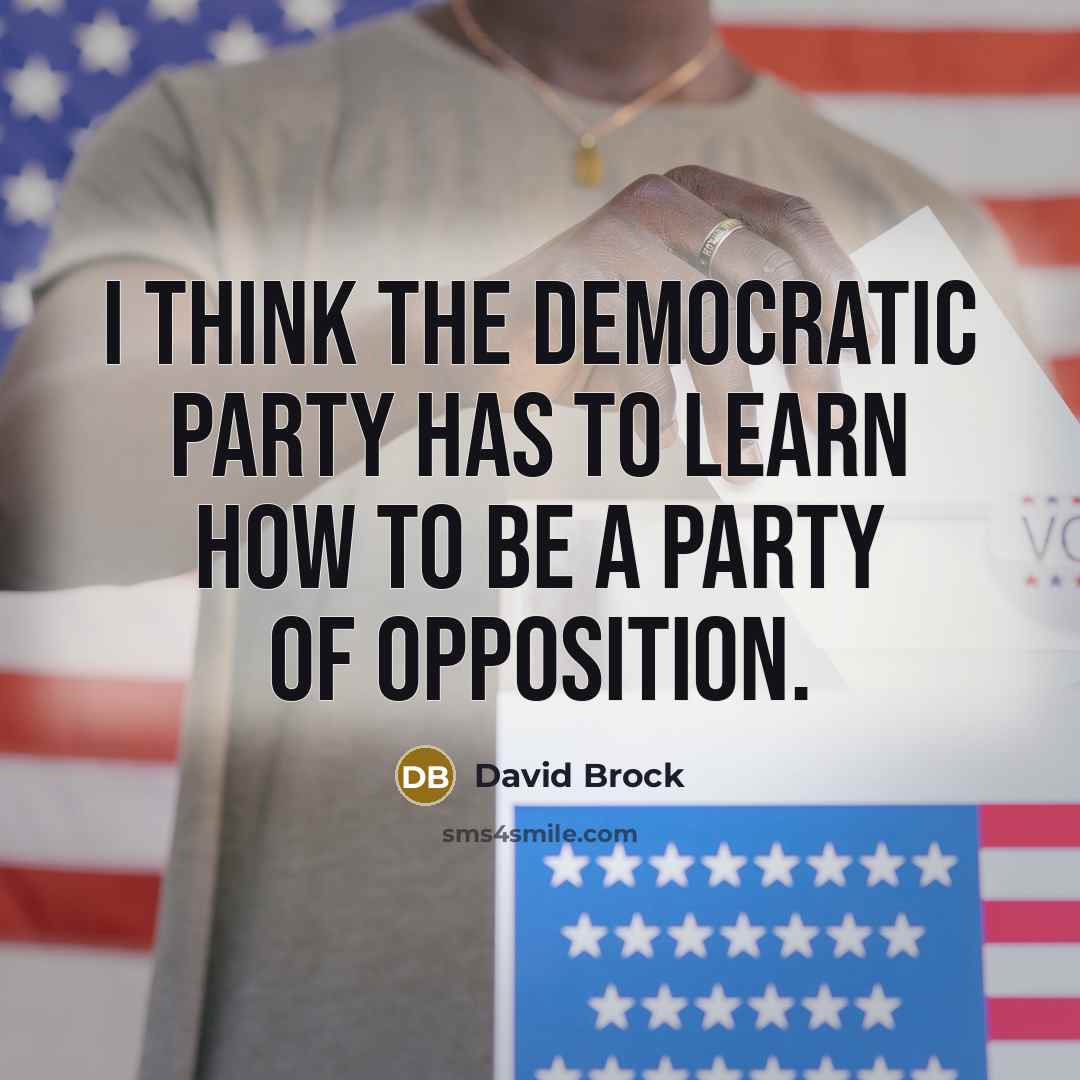 “I think the Democratic Party has to learn how to be a party of opposition.” quote by David Brock