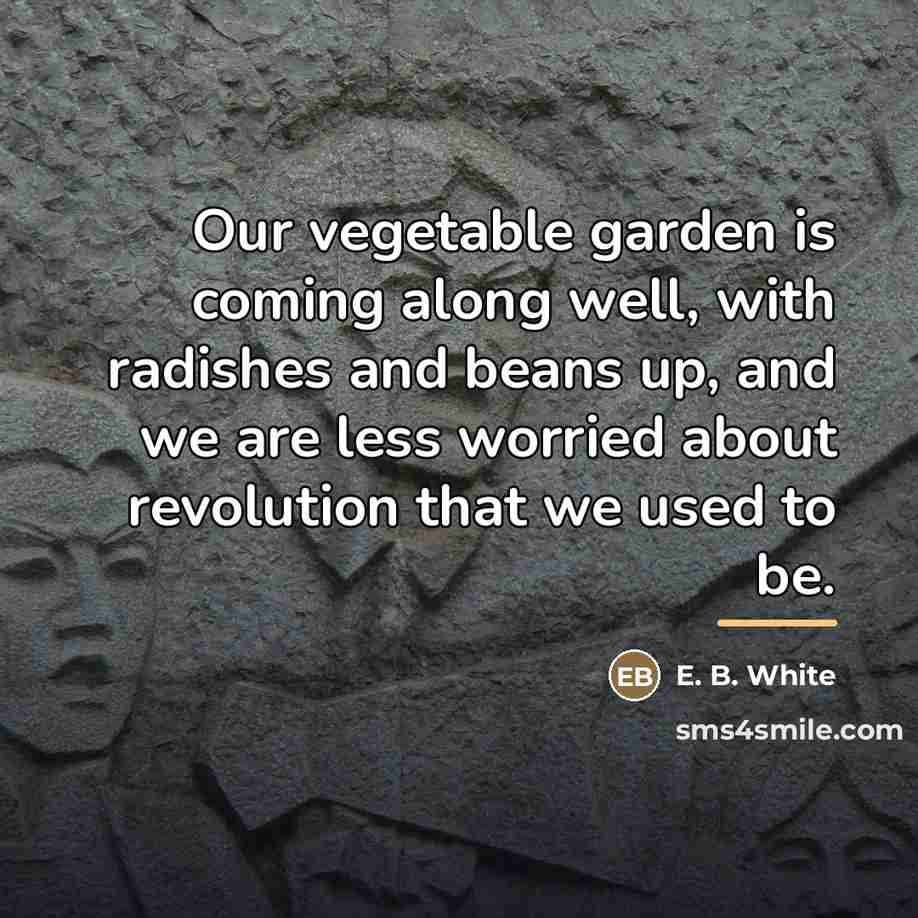 “Our vegetable garden is coming along well, with radishes and…” quote by E. B. White