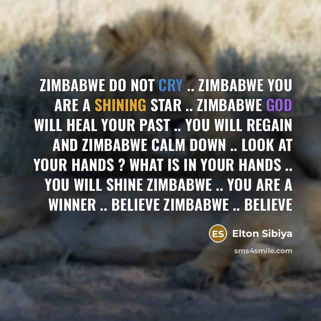 “Zimbabwe do not Cry .. Zimbabwe you are a shining…” quote by Elton Sibiya