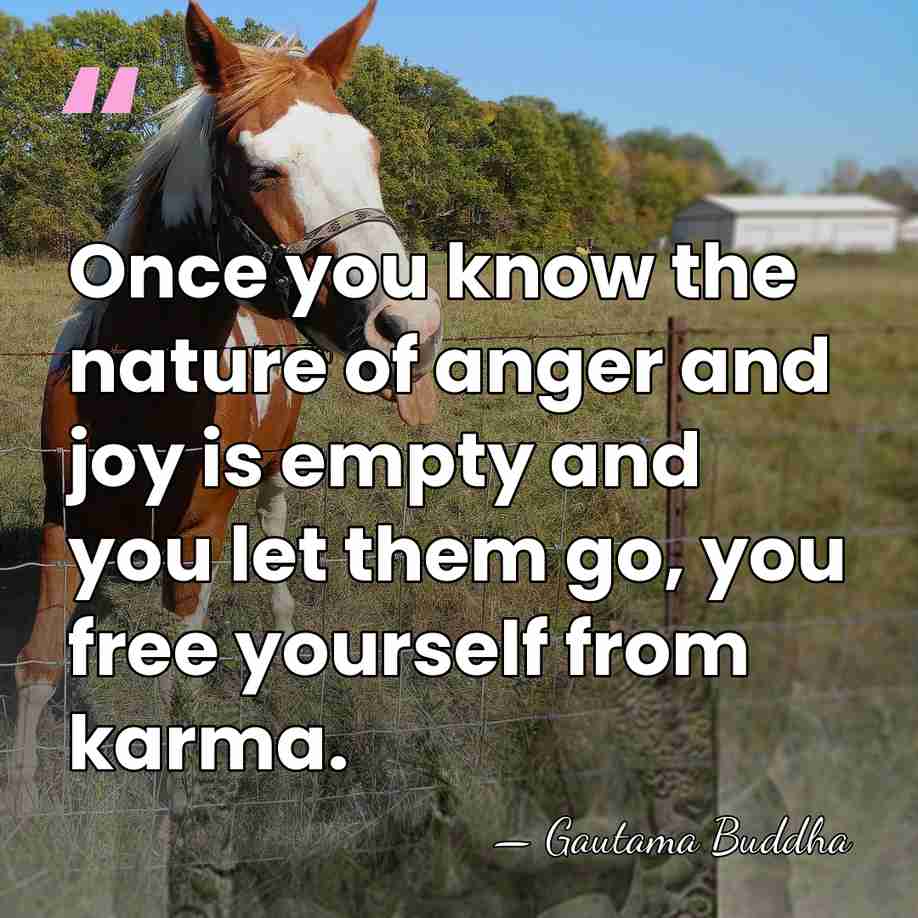 Once you know the nature of anger and joy is empty and&hellip; - Gautama Buddha