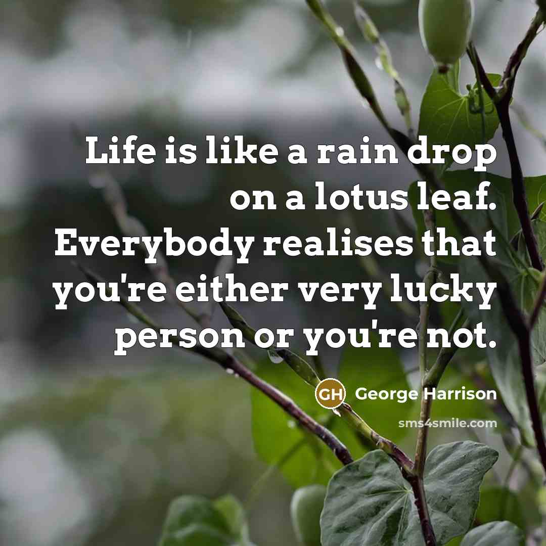 “Life is like a rain drop on a lotus leaf.…” quote by George Harrison