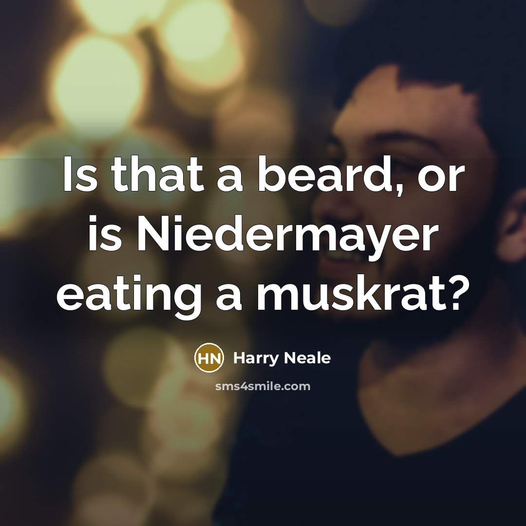 “Is that a beard, or is Niedermayer eating a muskrat?…” quote by Harry Neale