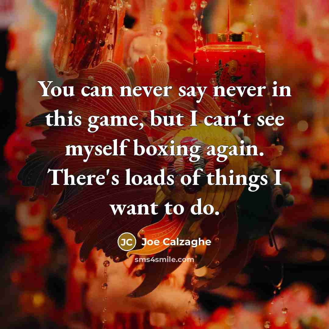 “You can never say never in this game, but I…” quote by Joe Calzaghe