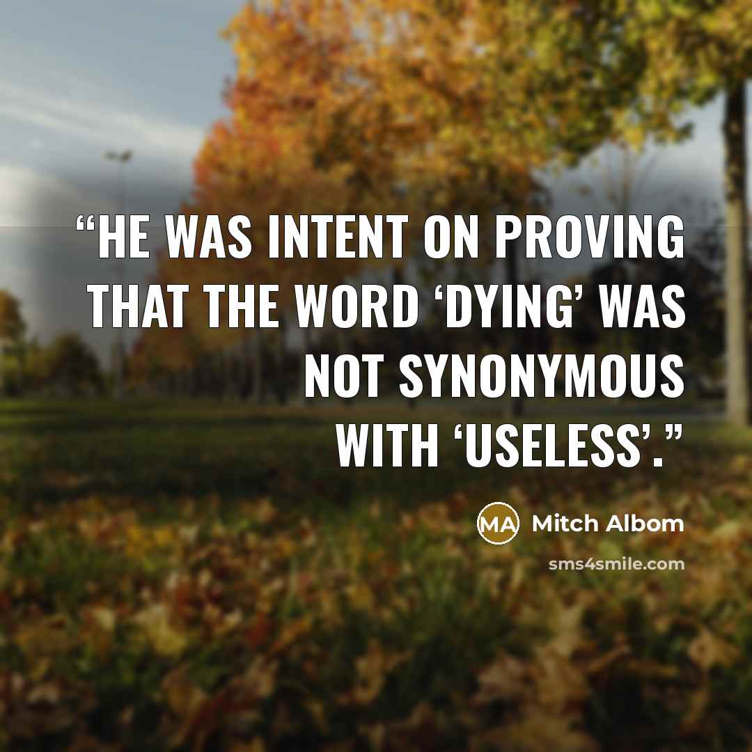 “He was intent on proving that the word ‘dying’ was not synonymous with ‘useless’.” quote by Mitch Albom