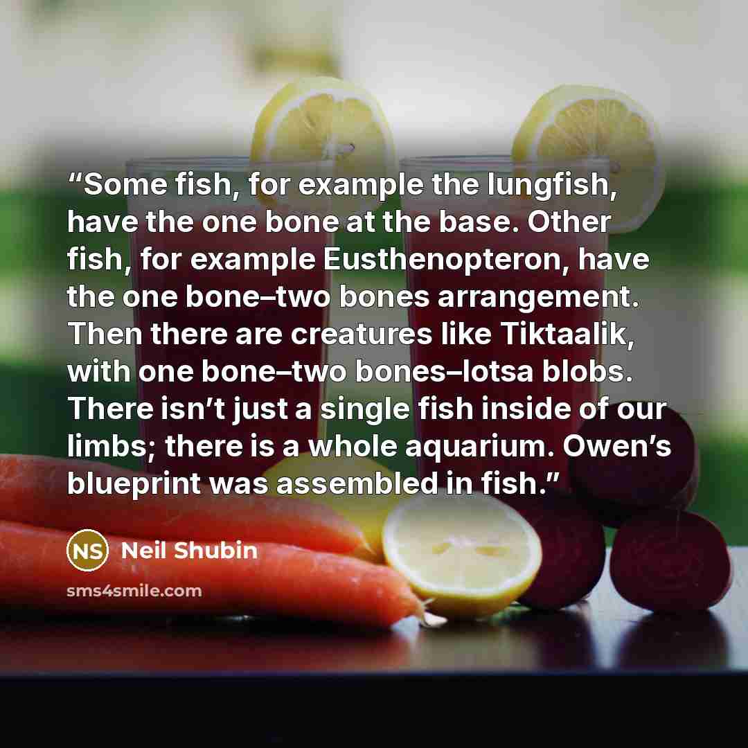 “Some fish, for example the lungfish, have the one bone at the base. Other fish, for example Eusthenopteron, have the one bone–two bones arrangement. Then there are creatures like Tiktaalik, with one bone–two bones–lotsa blobs. There isn’t just a single fish inside of our limbs; there is a whole…” quote by Neil Shubin