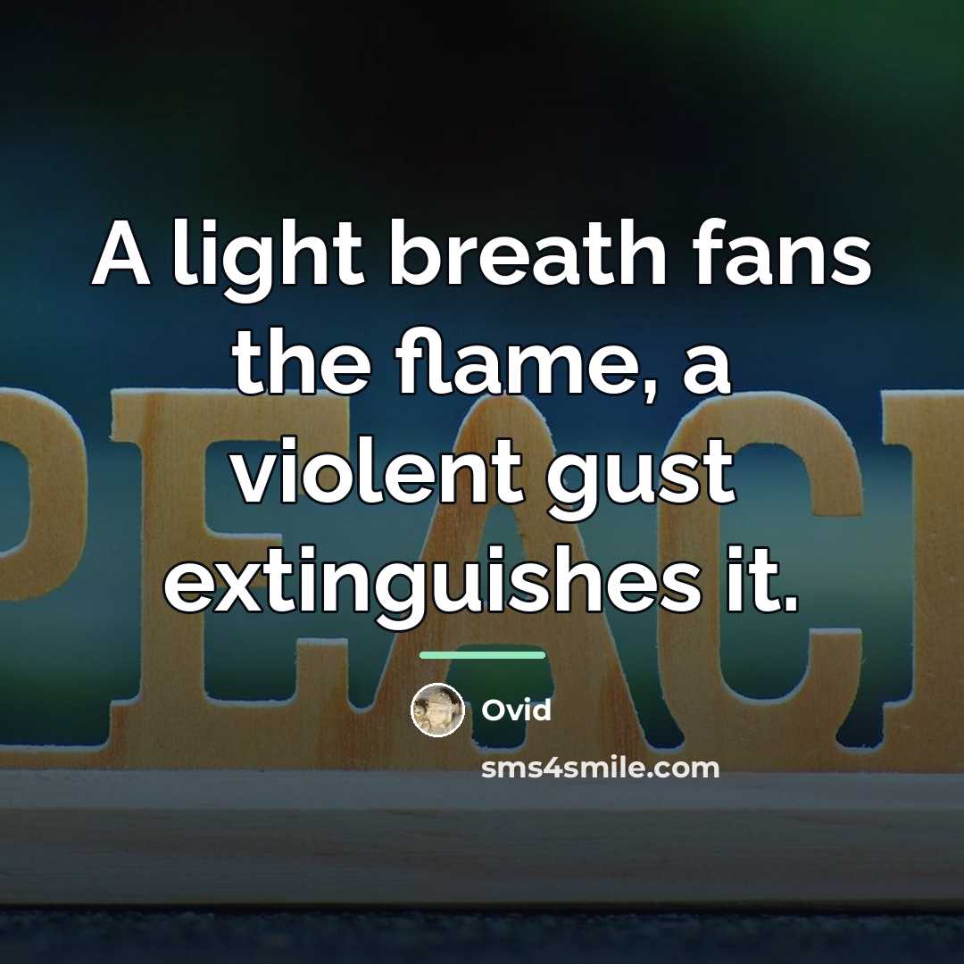 “A light breath fans the flame, a violent gust extinguishes…” quote by Ovid