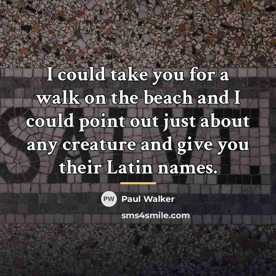 “I could take you for a walk on the beach…” quote by Paul Walker