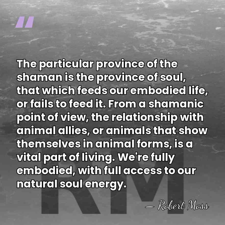 The particular province of the shaman is the province of soul, that&hellip; - Robert Moss