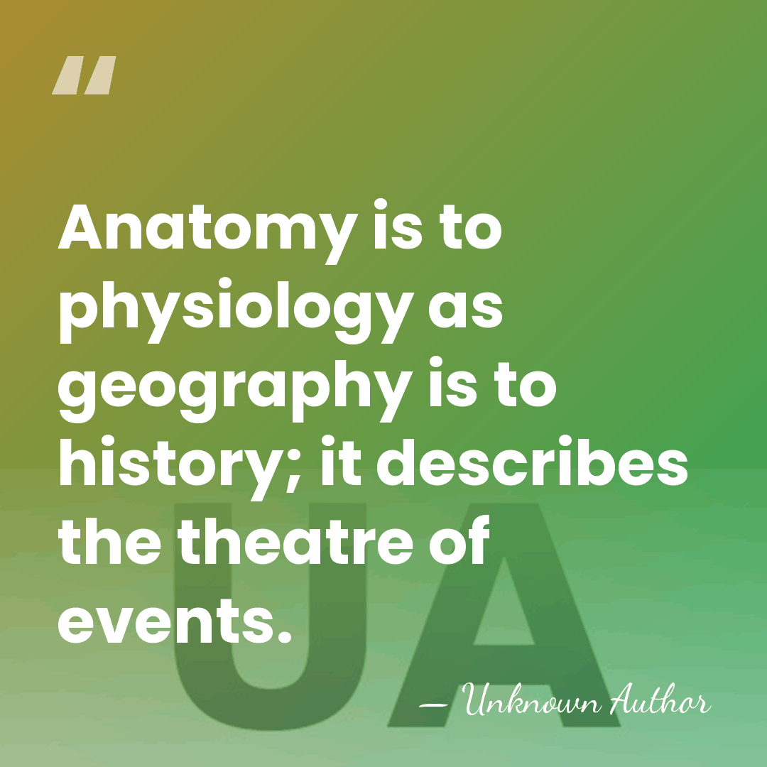 Anatomy is to physiology as geography is to history; it describes the&hellip; - Unknown Author