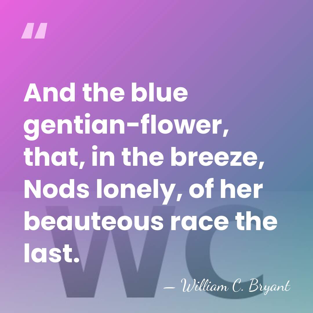 And the blue gentian-flower, that, in the breeze, Nods lonely, of her&hellip; - William C. Bryant