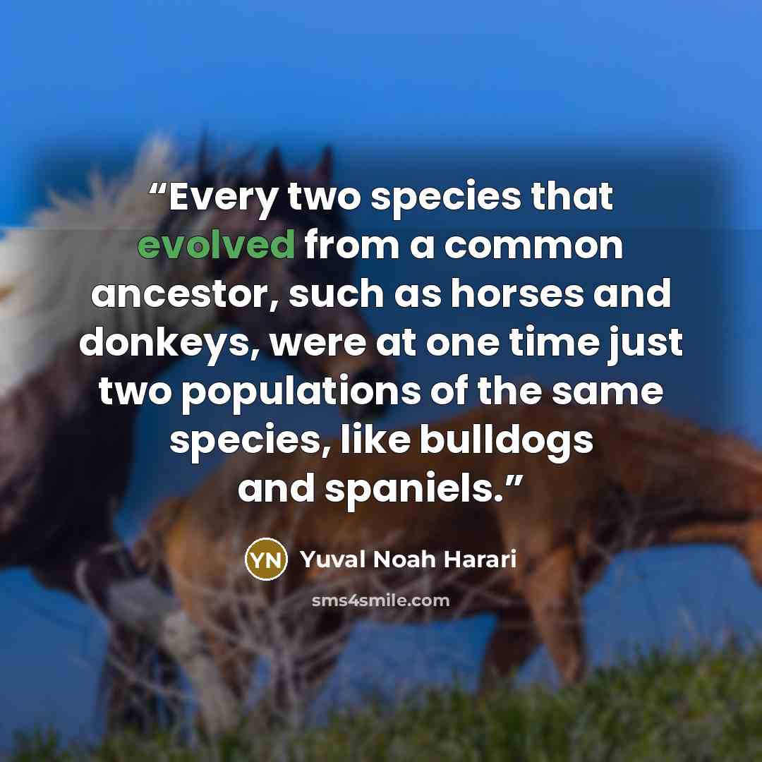 “Every two species that evolved from a common ancestor, such as horses and donkeys, were at one time just two populations of the same species, like bulldogs and spaniels.” quote by Yuval Noah Harari
