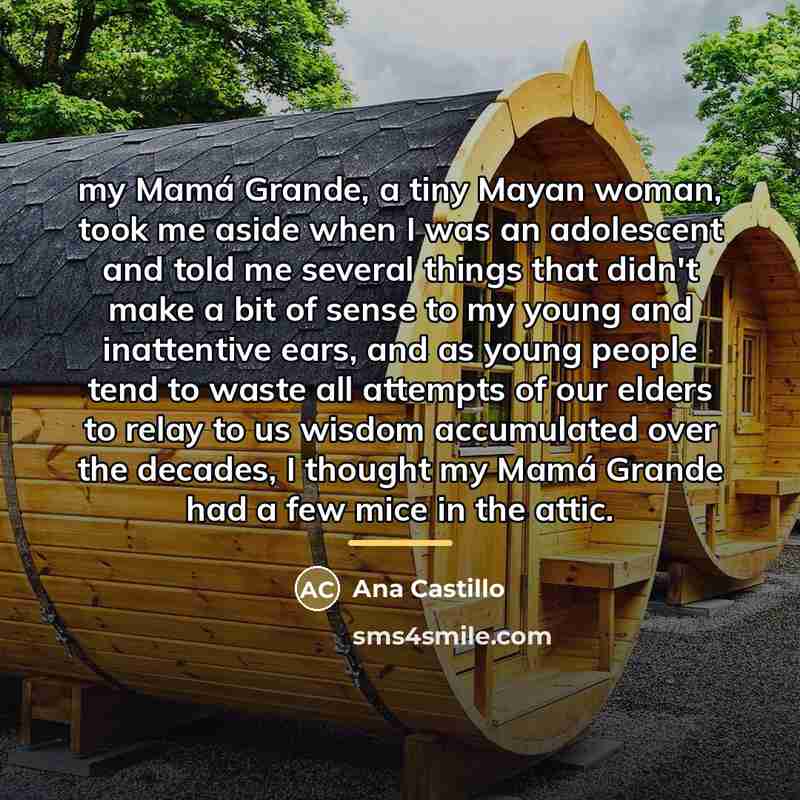 “my Mamá Grande, a tiny Mayan woman, took me aside…” quote by Ana Castillo