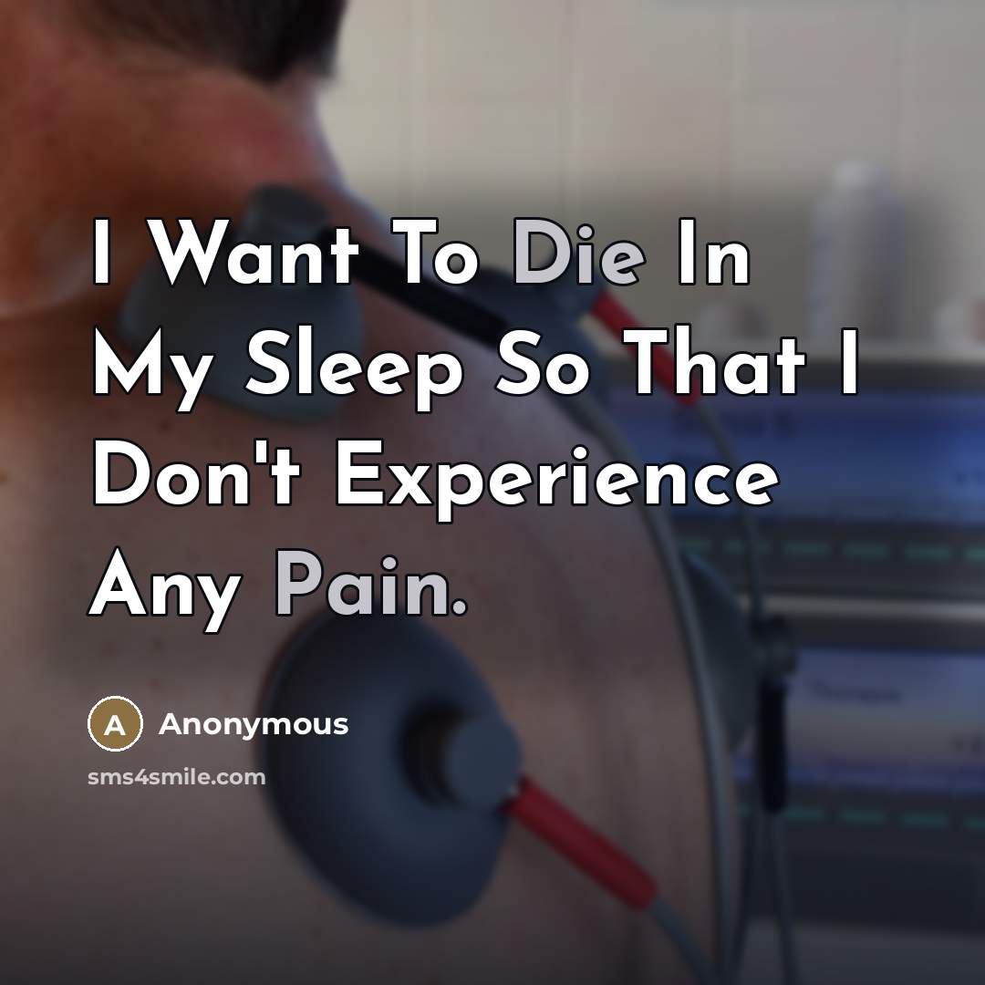 “I Want To Die In My Sleep So That I…” quote by Anonymous
