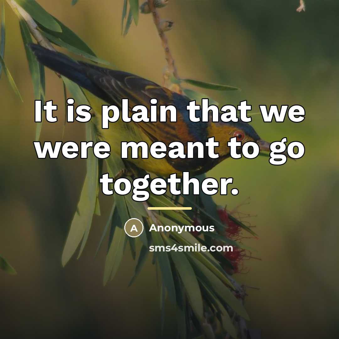 “It is plain that we were meant to go together.…” quote by Anonymous